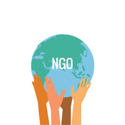 NGO Consultancy / Management